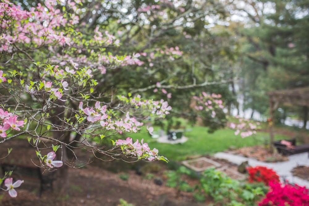 The Applewood Manor Bed and Breakfast Asheville Exteriör bild